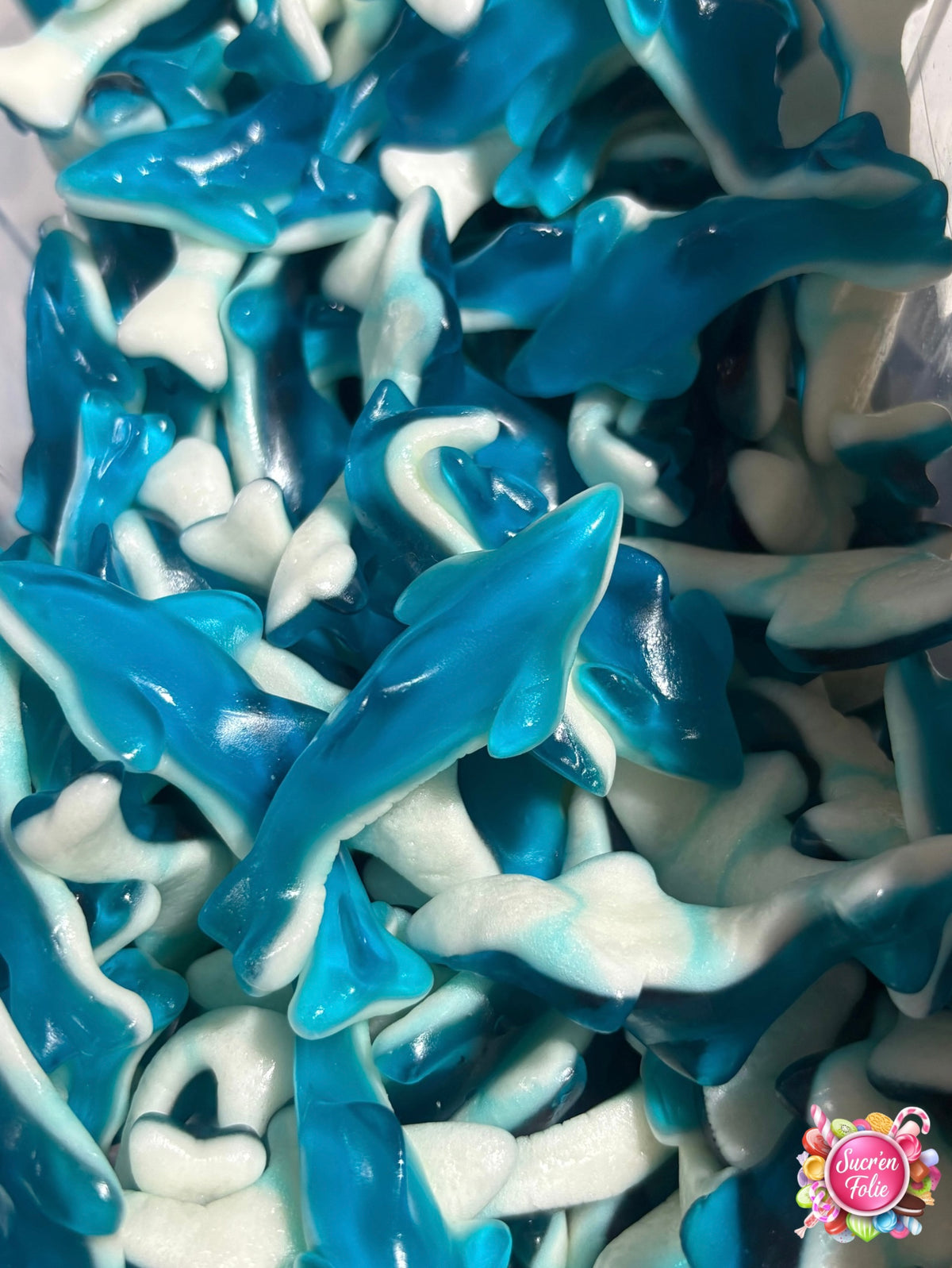 Requin Bleu Trolli (100g)
