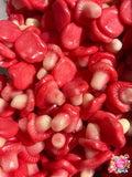 Champignons Bebeto (100g)