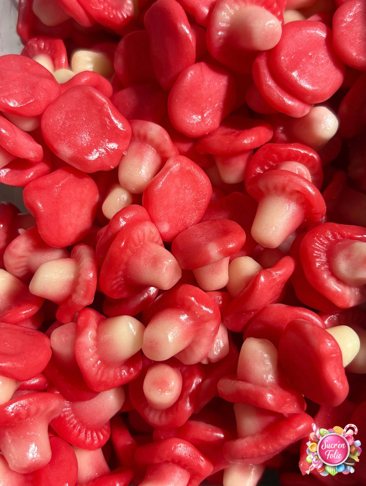 Champignons Bebeto (100g)
